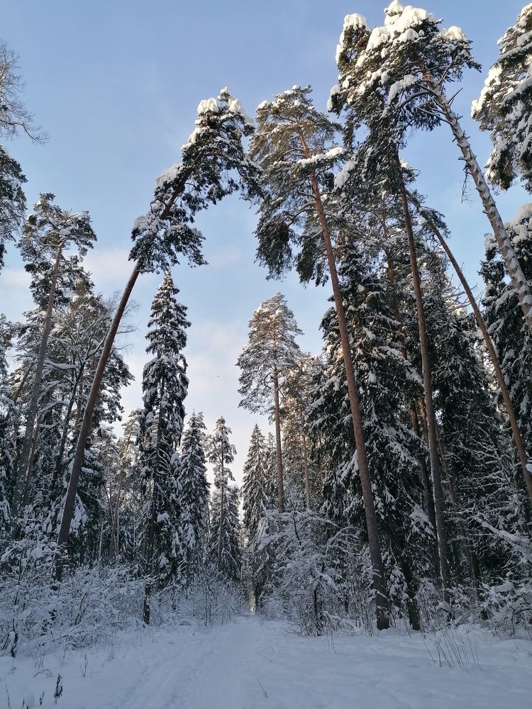 Photograph by Марина Шамова