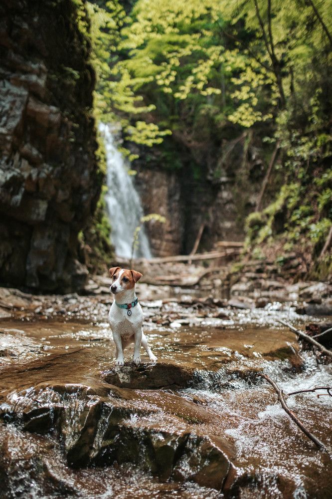 Photograph by Марина Колобанова