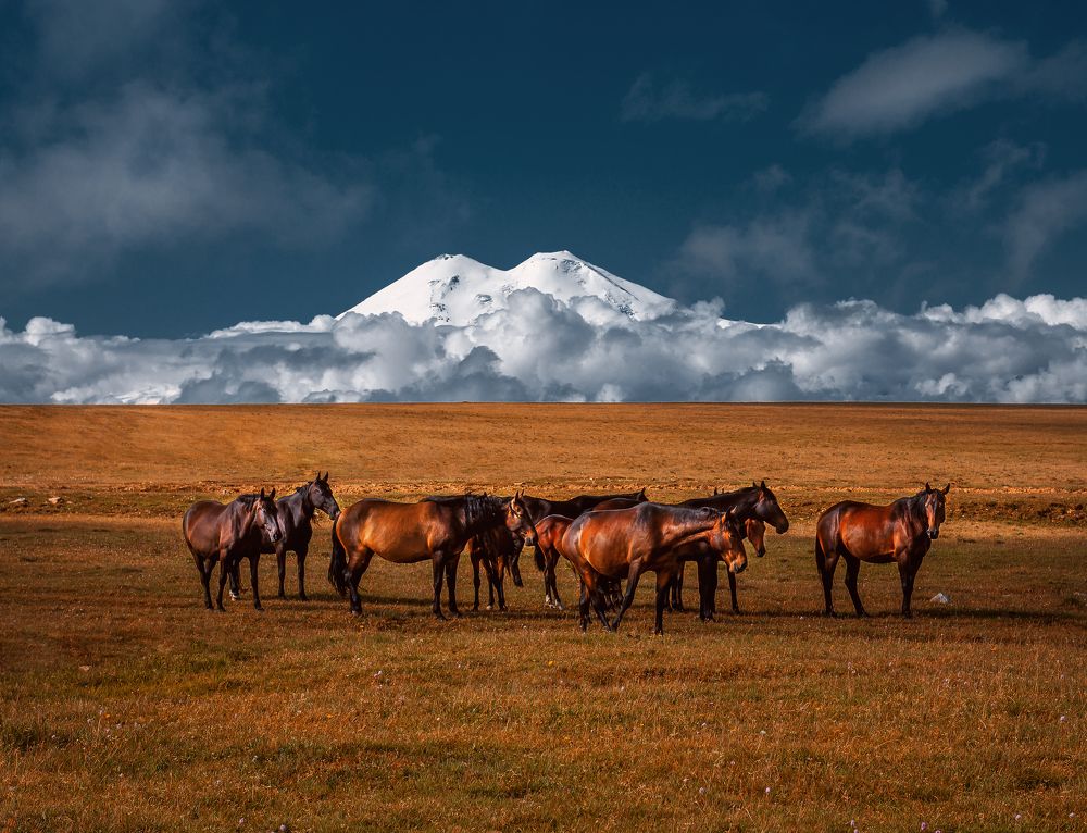 Photograph by Анастасия Мазурева