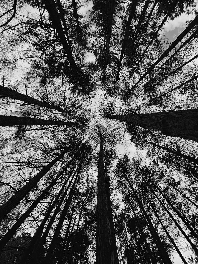 Фотография автора Oxana Yurasova