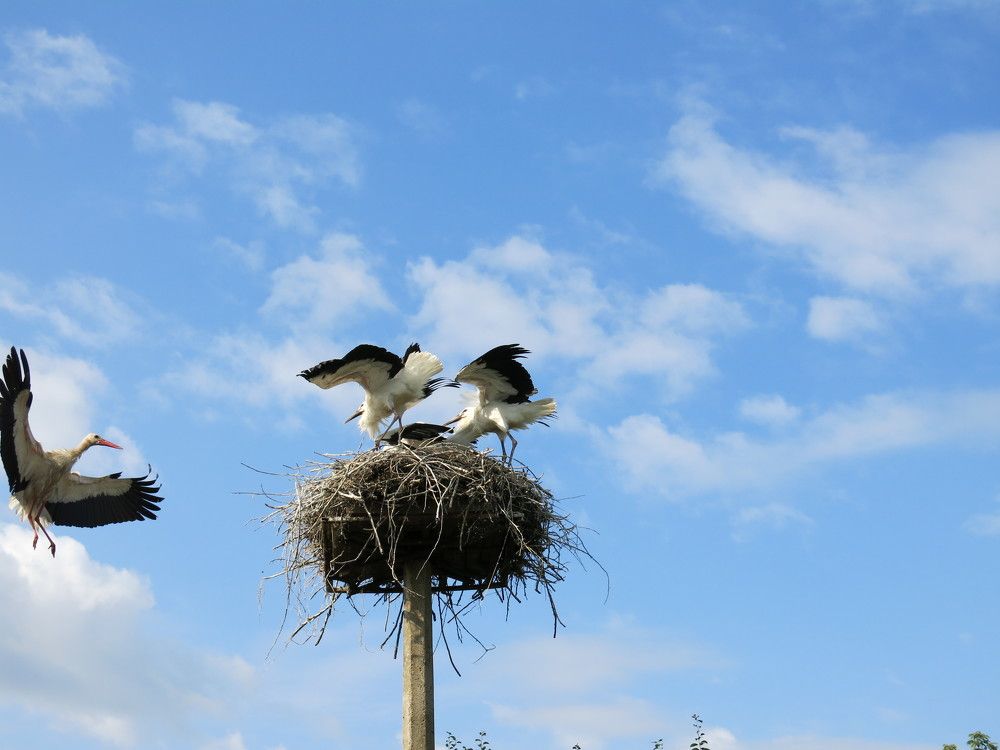 Photograph by ЭЛЬМИРА  ИСМАИЛОВА