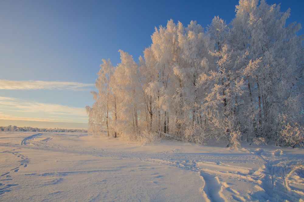 Photograph by Луферов Никита