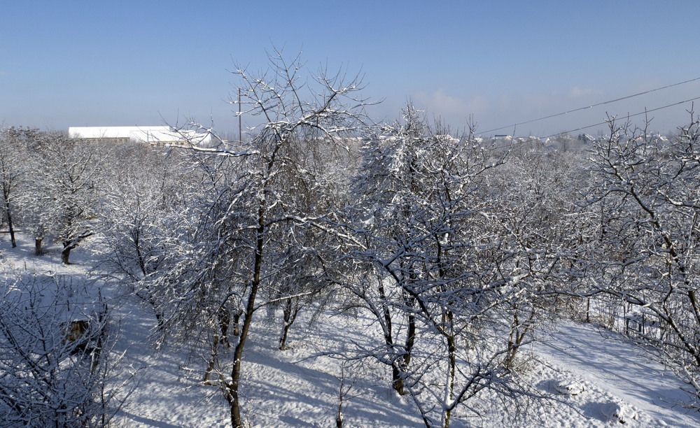 Photograph by Володимир Федишин