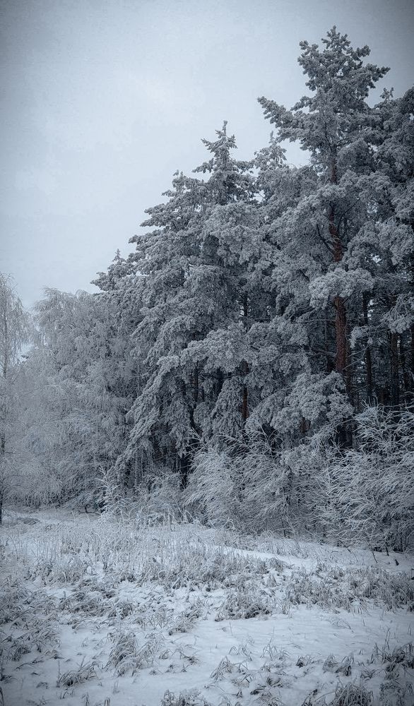 Photograph by Денис Шамров