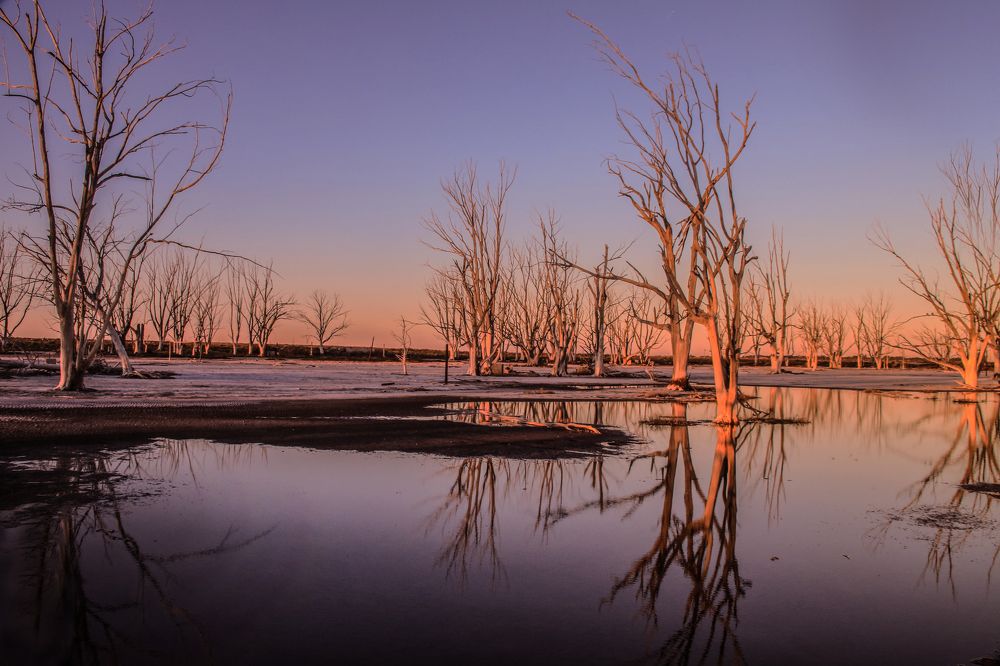 Photograph by Viviana García