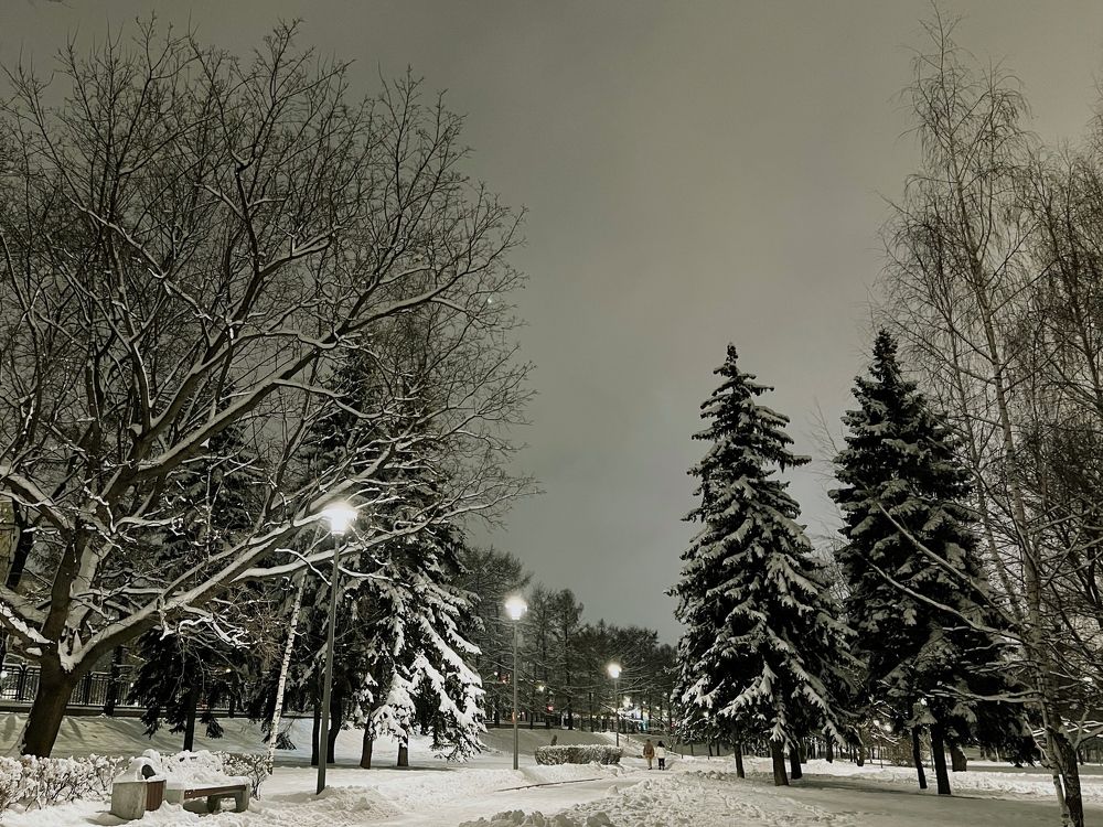 Photograph by Екатерина