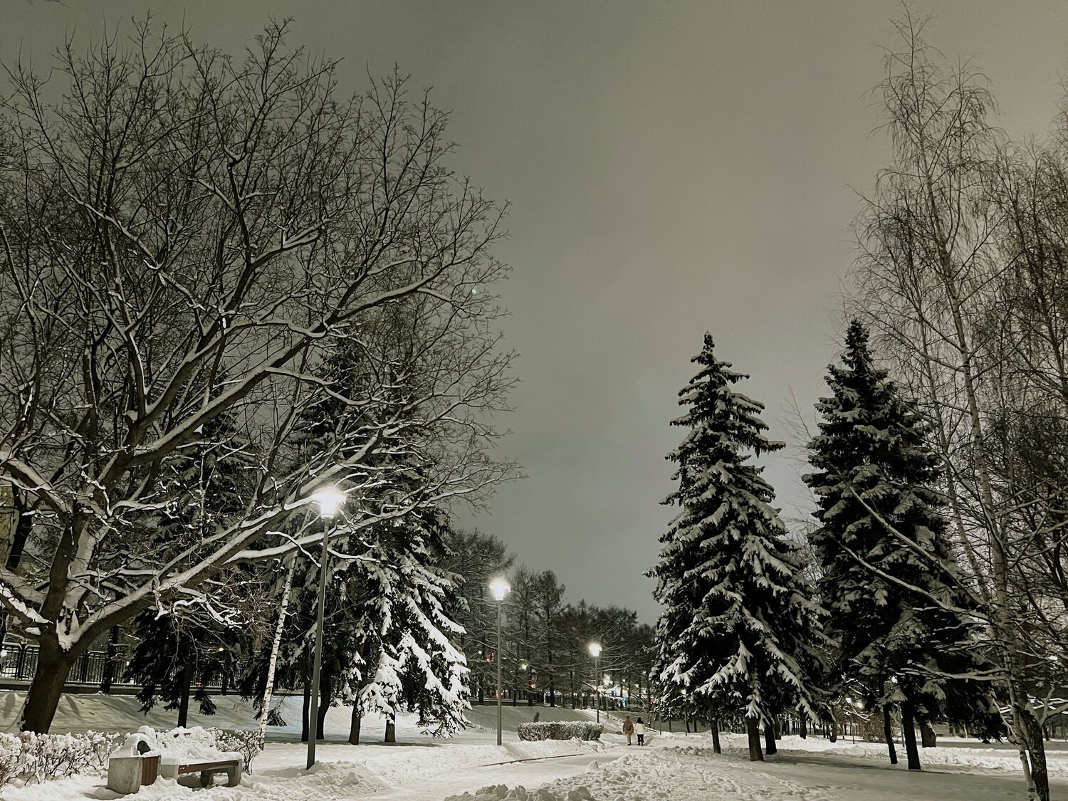 Photo #6984014