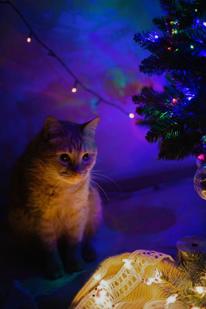 Фотография автора Oxana Yurasova