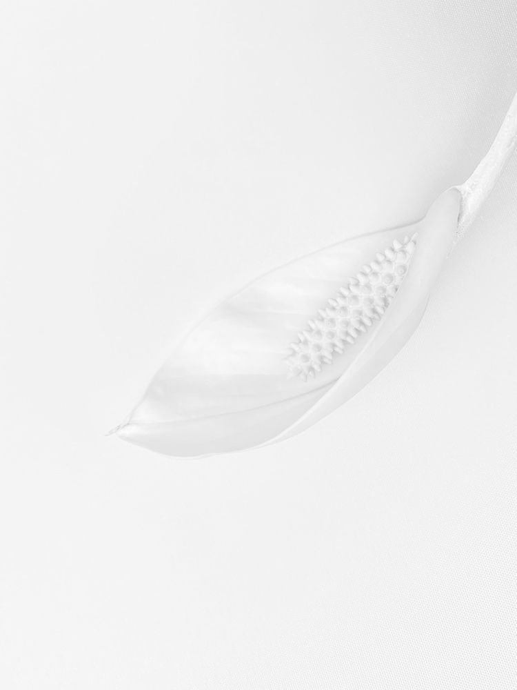 Photograph by Наталья