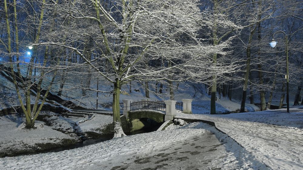 Photograph by Владимир Чернышов