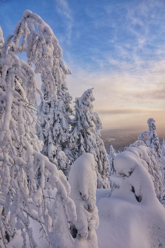 Photograph by Наталья Фрейман