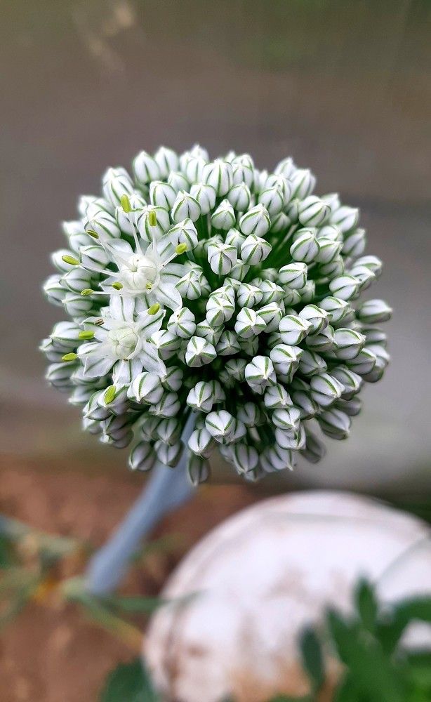 Фотография автора Ирина Лукьянчик