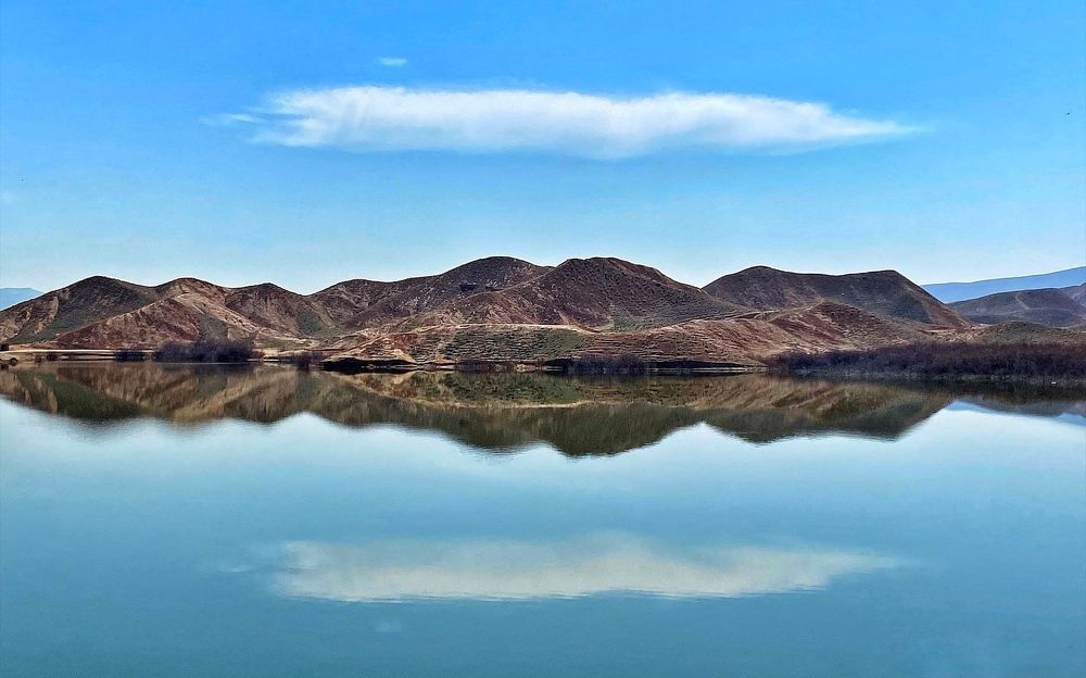 Фотография автора Hamidreza Saedi