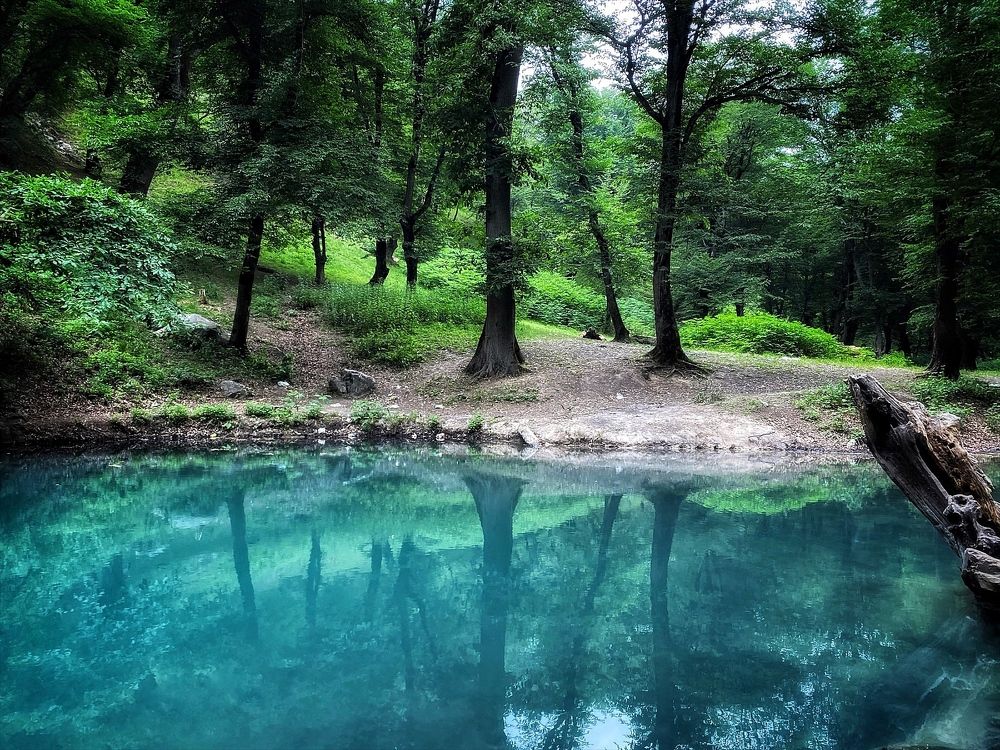 Фотография автора Hamidreza Saedi