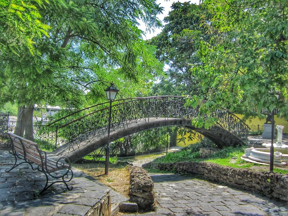 Photograph by Дарья