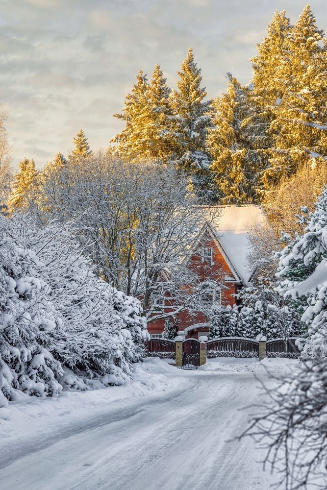 Photograph by Viktor Sheibak