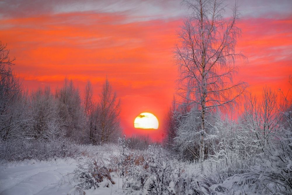 Photograph by Viktor Sheibak