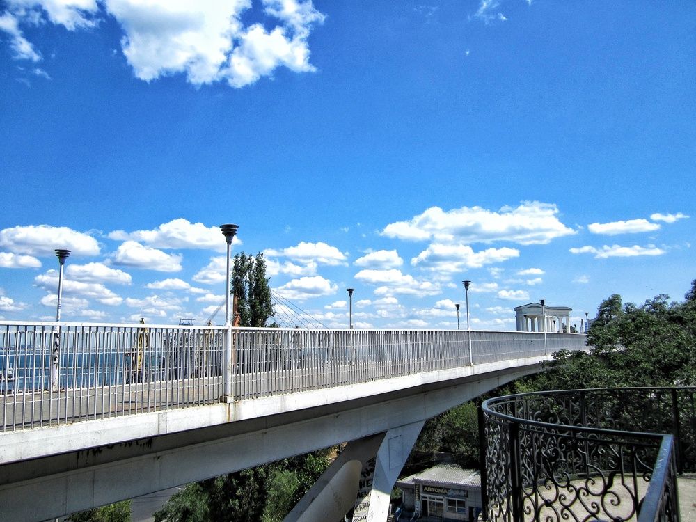 Photograph by Дарья