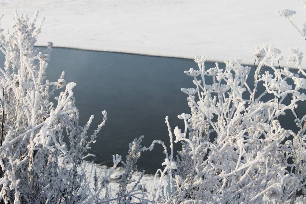 Photograph by Екатерина Хозяшева