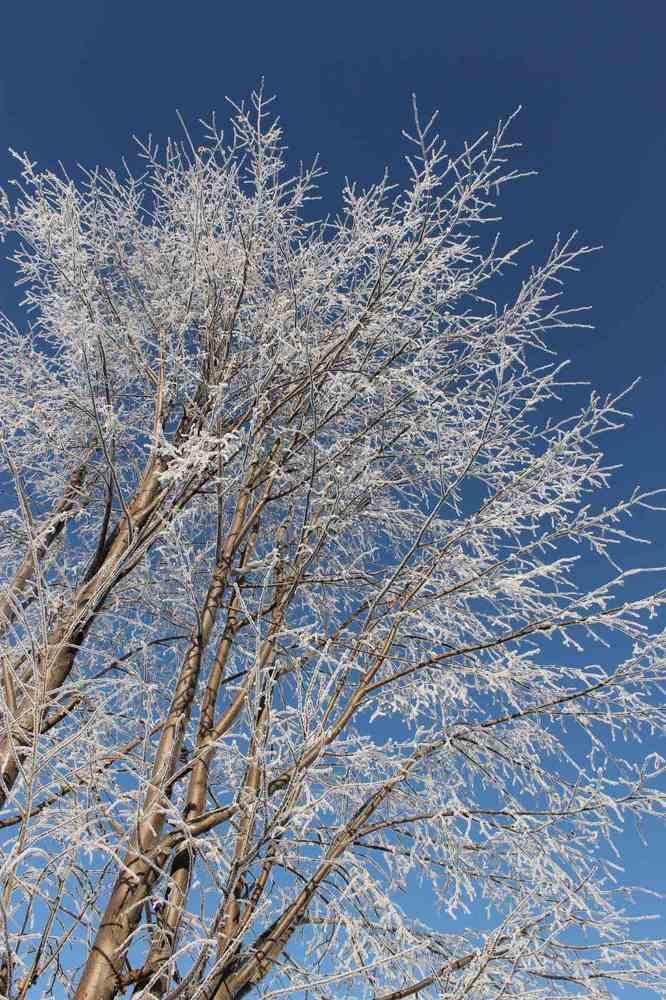 Photograph by Екатерина Хозяшева