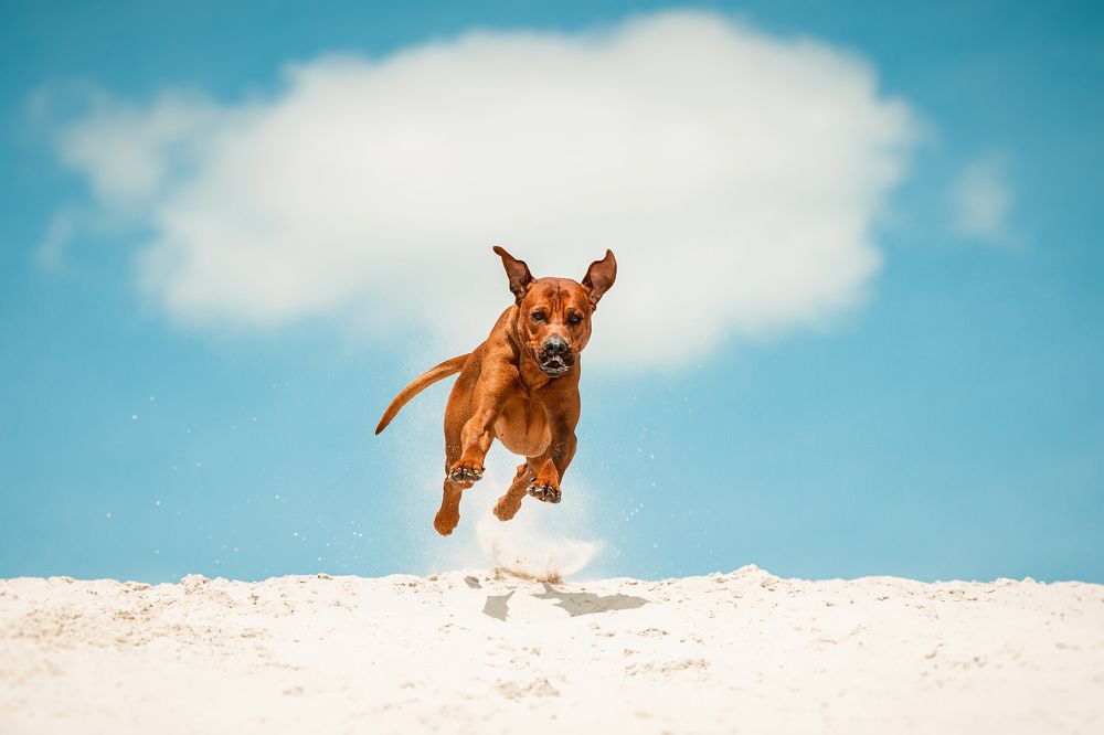 Photograph by Ольга Хазай