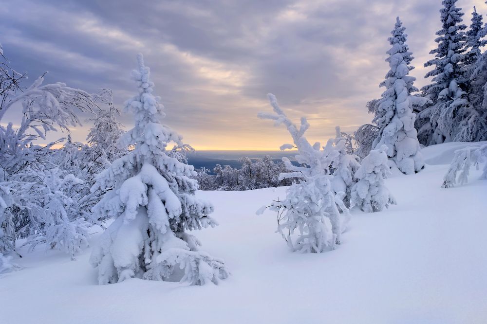 Photograph by Ирина Толокновская