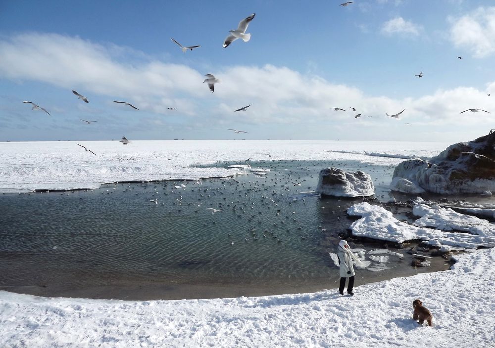 Photograph by Сергей Кошелев