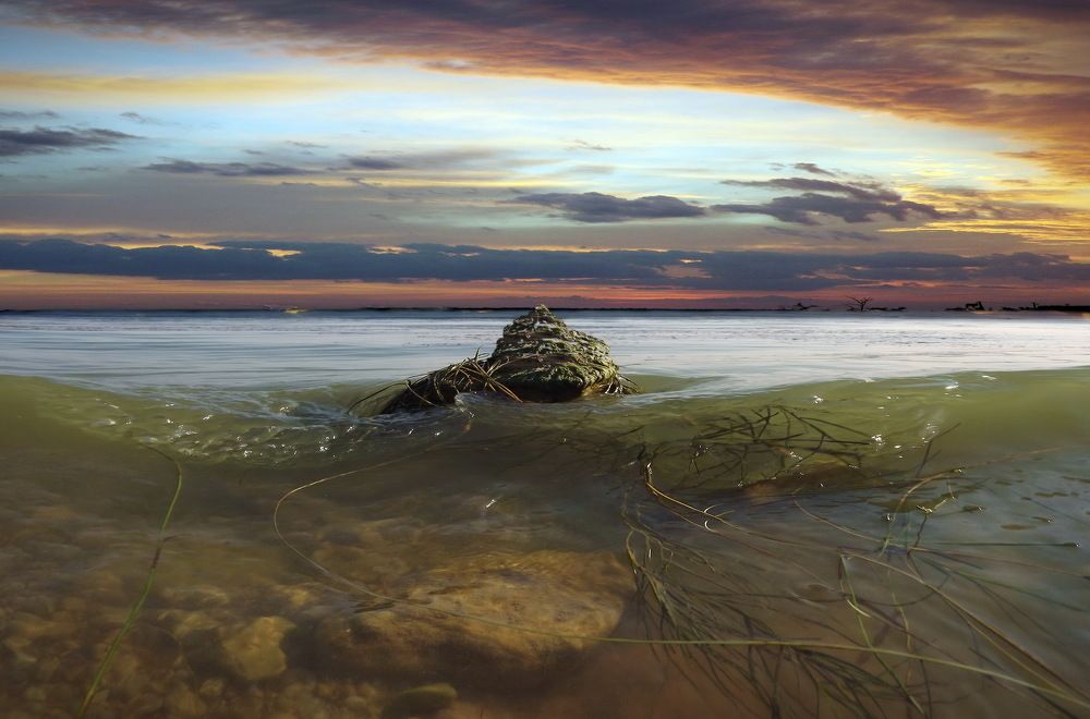 Photograph by Сергей Кошелев