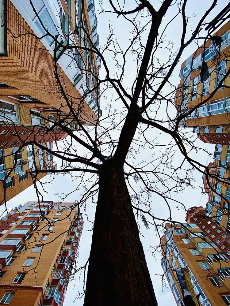 Photograph by Anna Haidukova