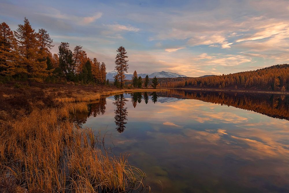 Photograph by Sokolova Tatiana