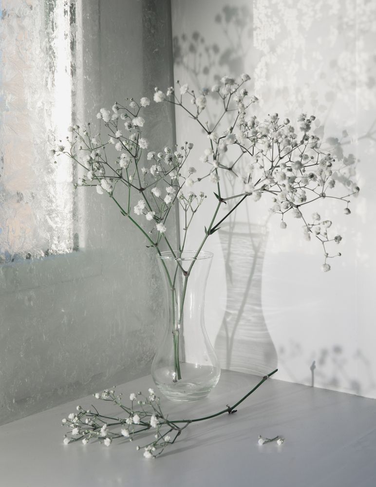 Photograph by Елизавета Лутцева