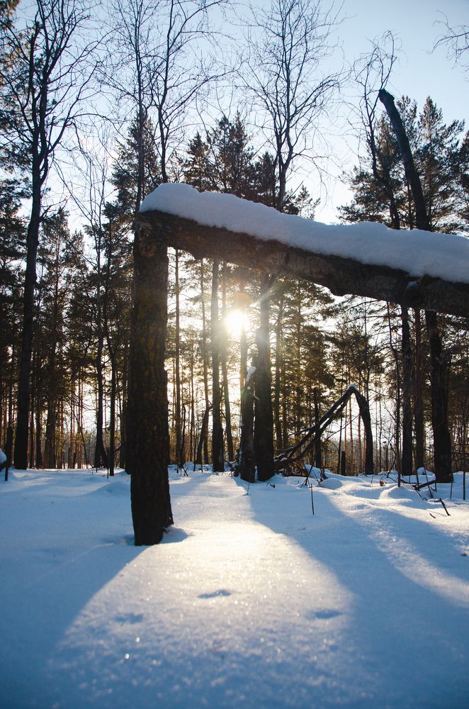 Photograph by Ирина Назарова