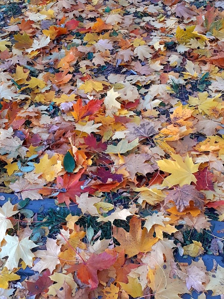 Photograph by Евгения Ульянова