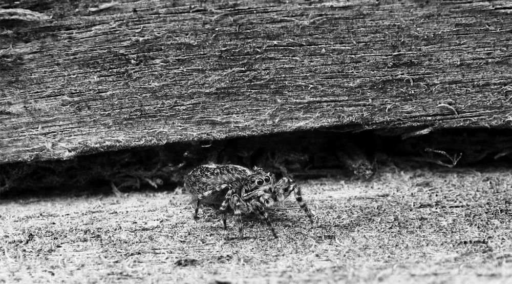 Photograph by Светлана