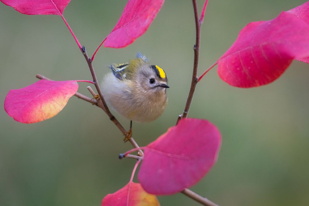 Photograph by Валерий Притченко