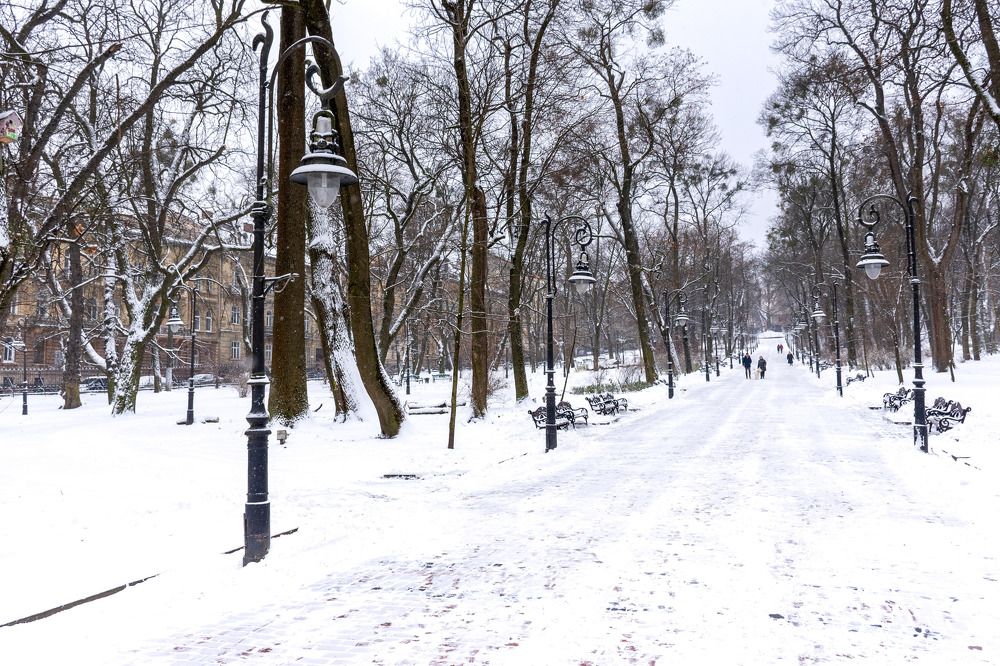 Photograph by Владислав Семенов