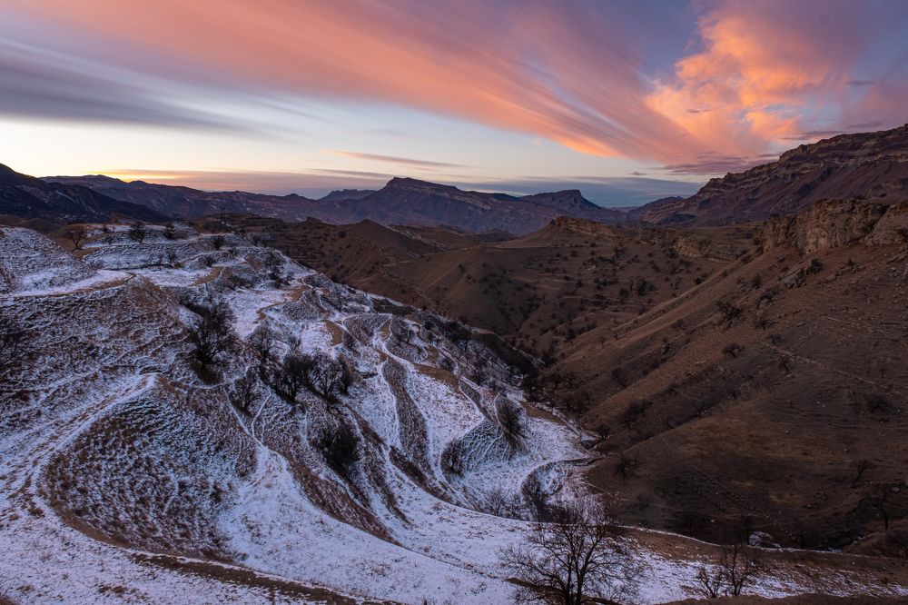 Photograph by Артём Селезнёв