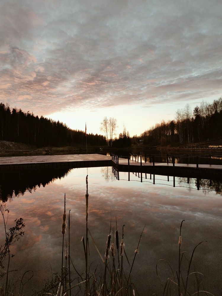 Photograph by Александр Жигульский