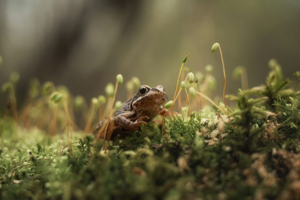Photograph by Сальников Евгений