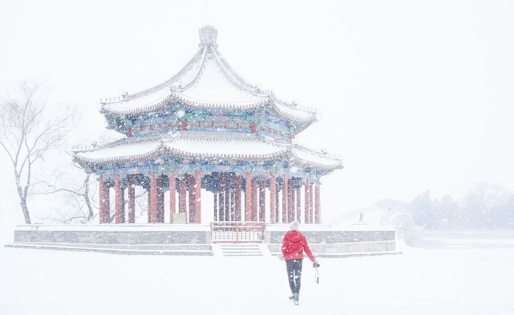 Photograph by 张 旭