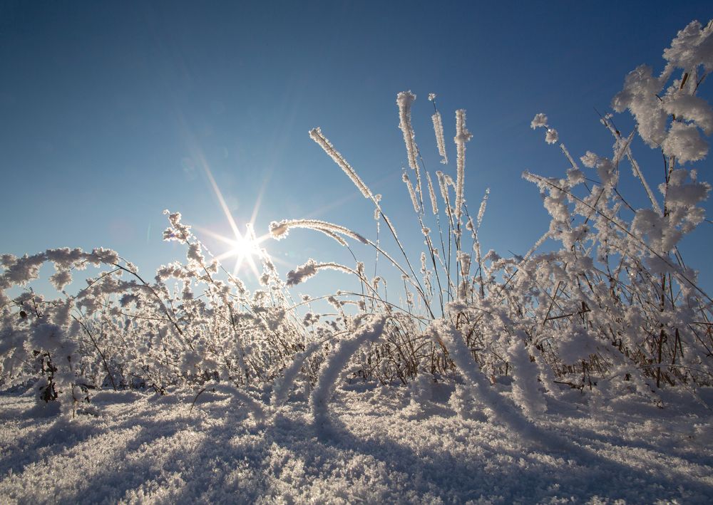 Photograph by Сергей Максимов