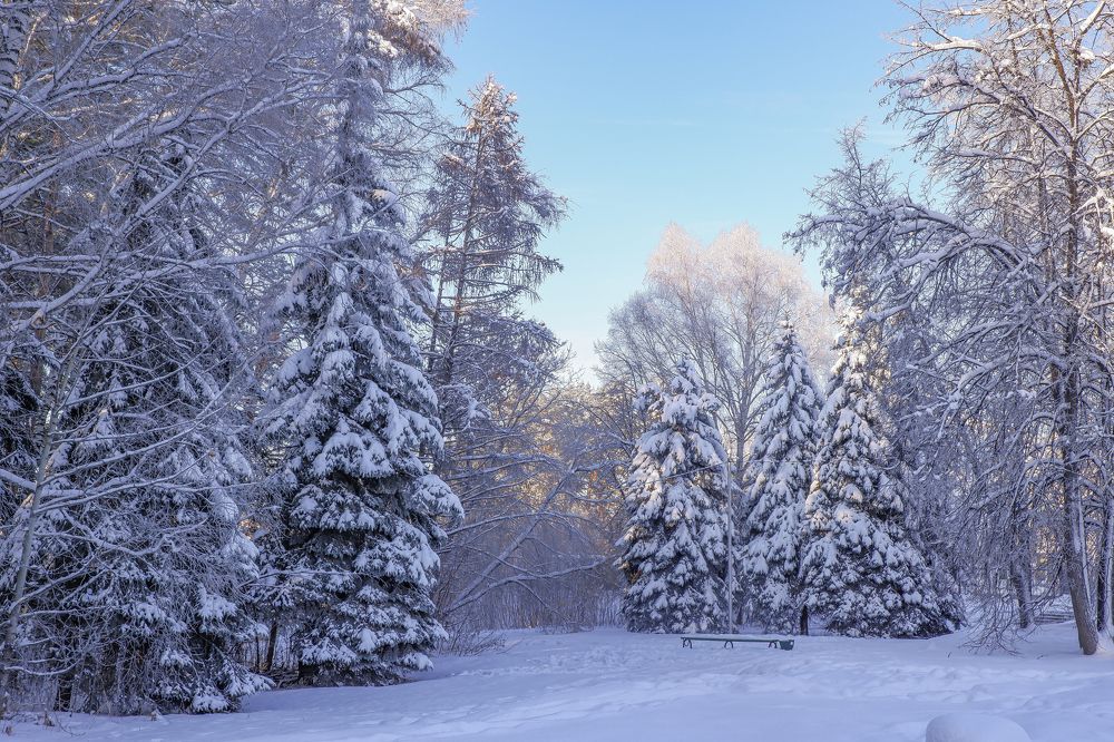 Photograph by Ольга Тюрина