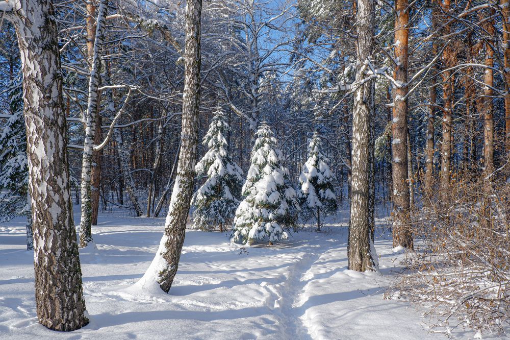 Photograph by Ольга Тюрина