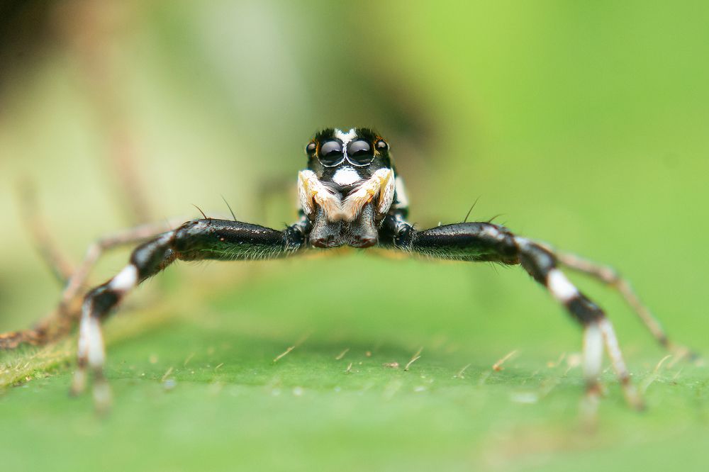 Photograph by Pinak Paul