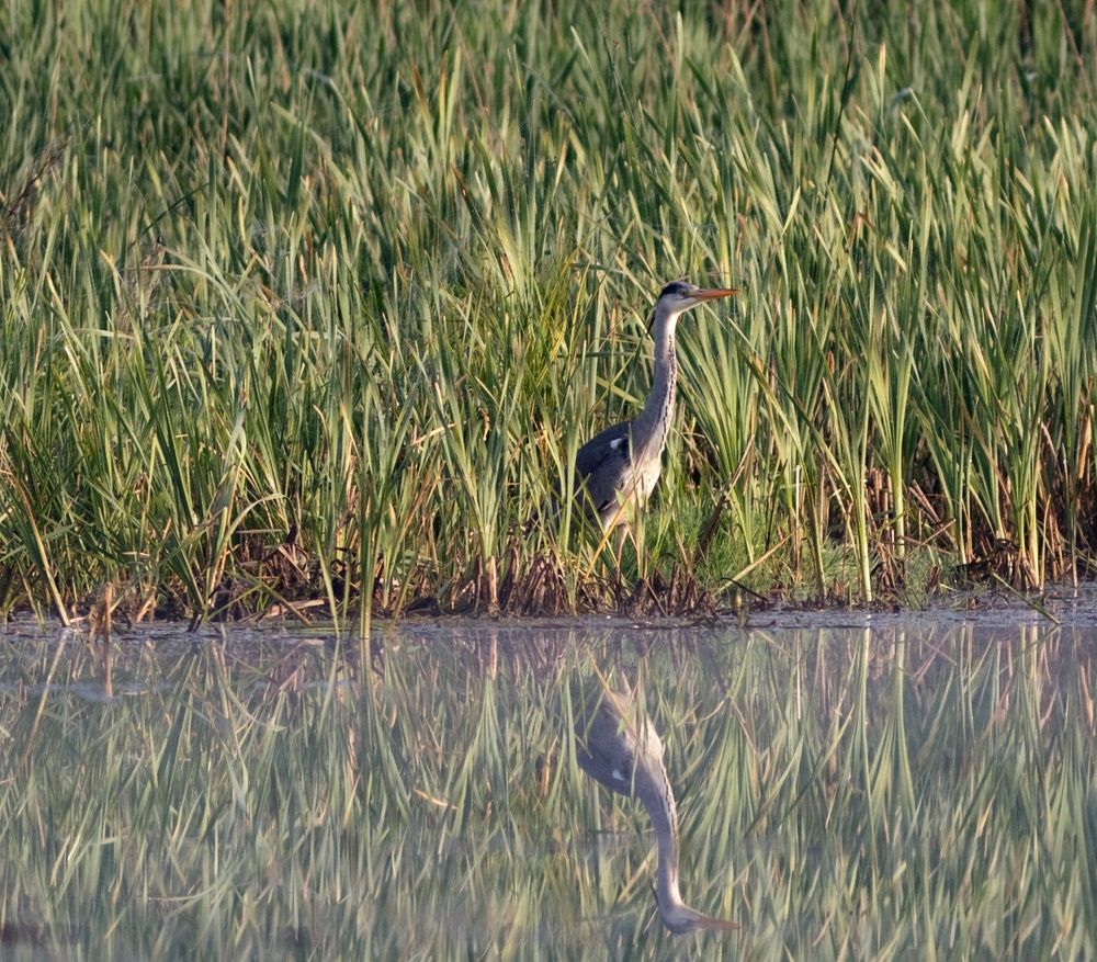 Photograph by Павел Краснослободцев
