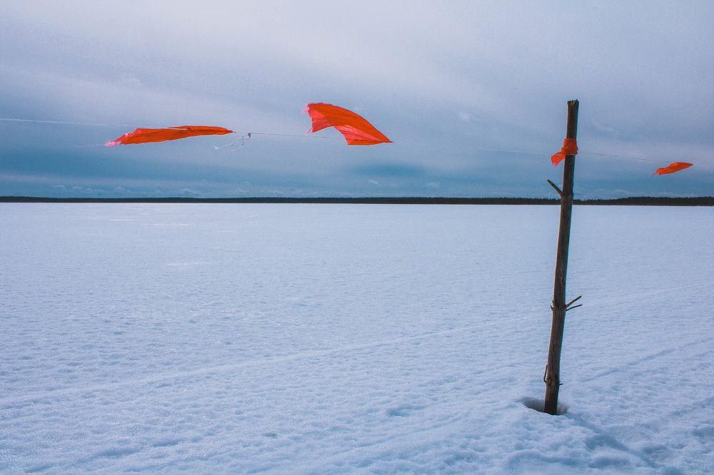 Photograph by Александр Дроздов