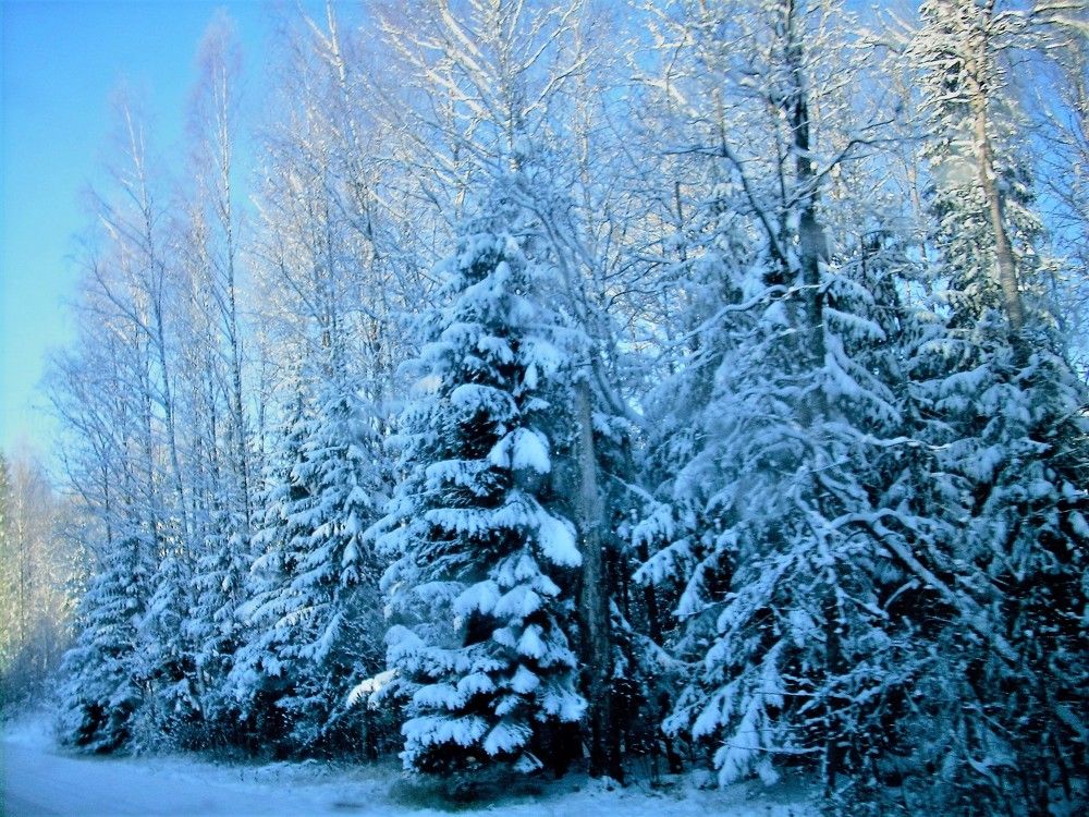 Photograph by Татьяна Красавцева