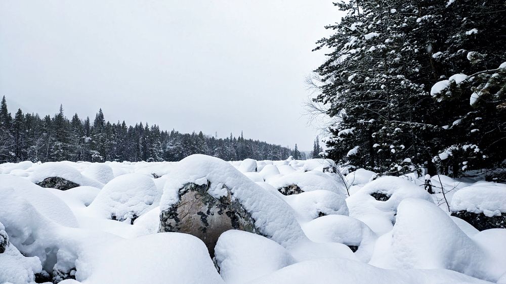 Photograph by Анна Токарева