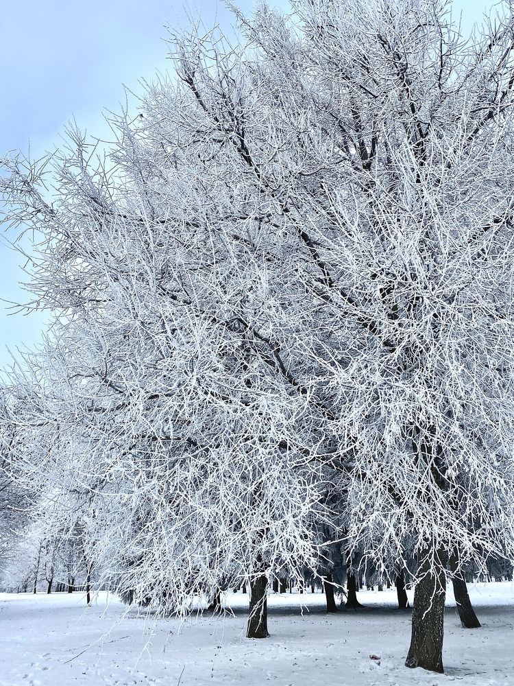 Photograph by Ольга