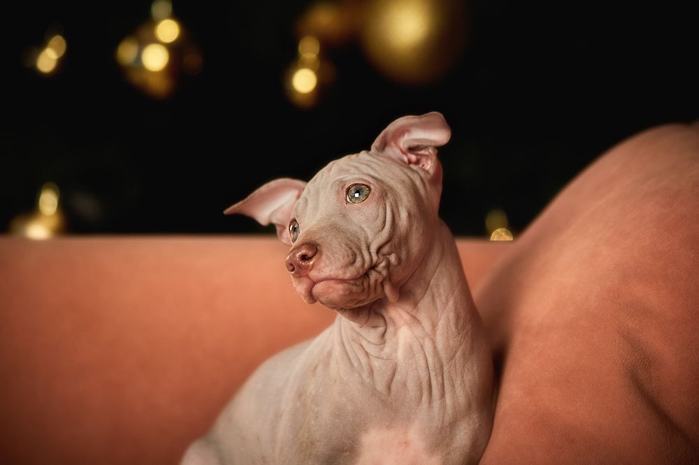 Photograph by Ирина Корх